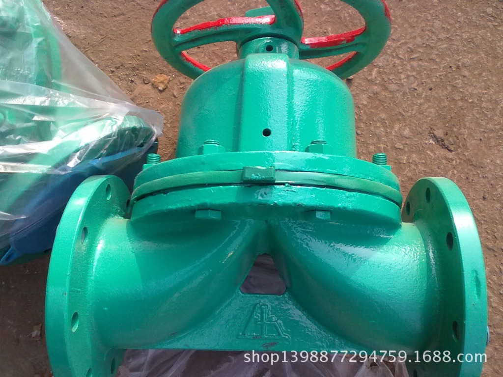 DN125隔膜閥2