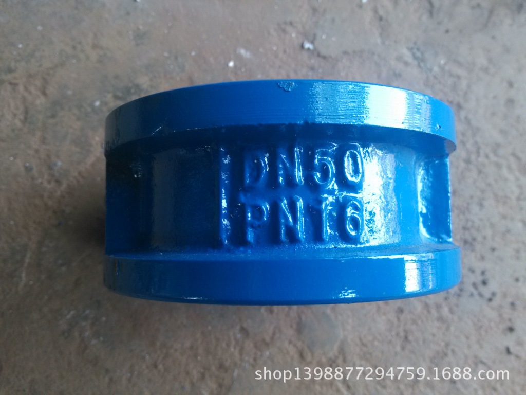 DN50對夾式蝶形止回閥1