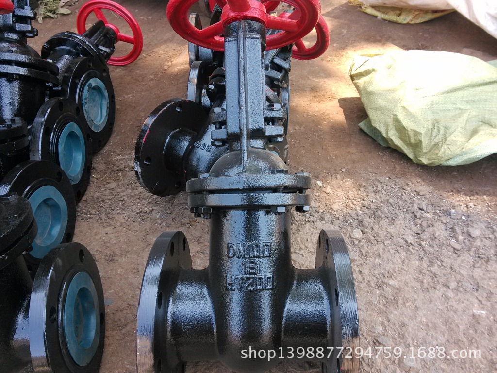 DN100重型雙閘板閘閥6