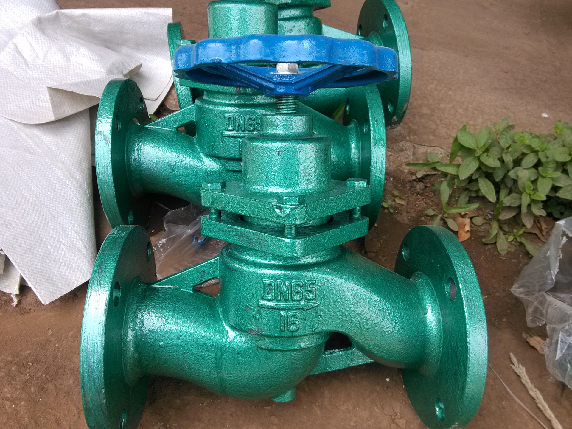 DN65柱塞閥1